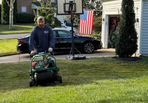 BLS-PRO landscaping services