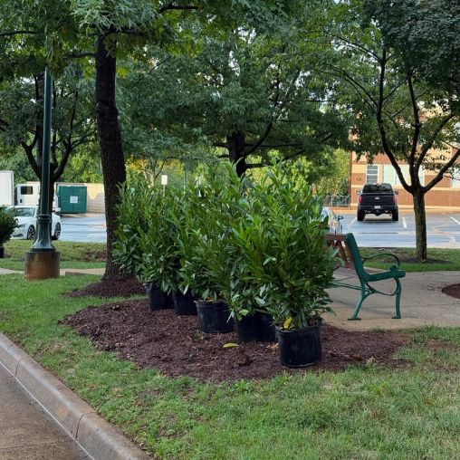 commercial landscape design and installation_