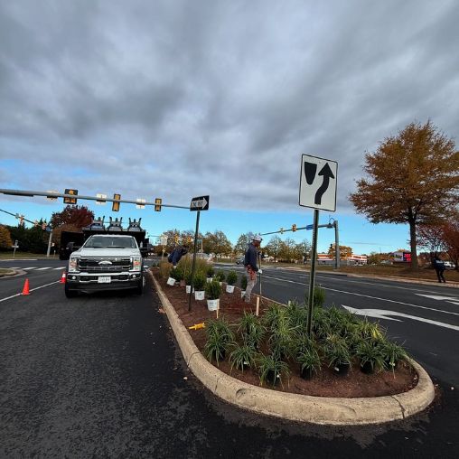 commercial landscape installation services_
