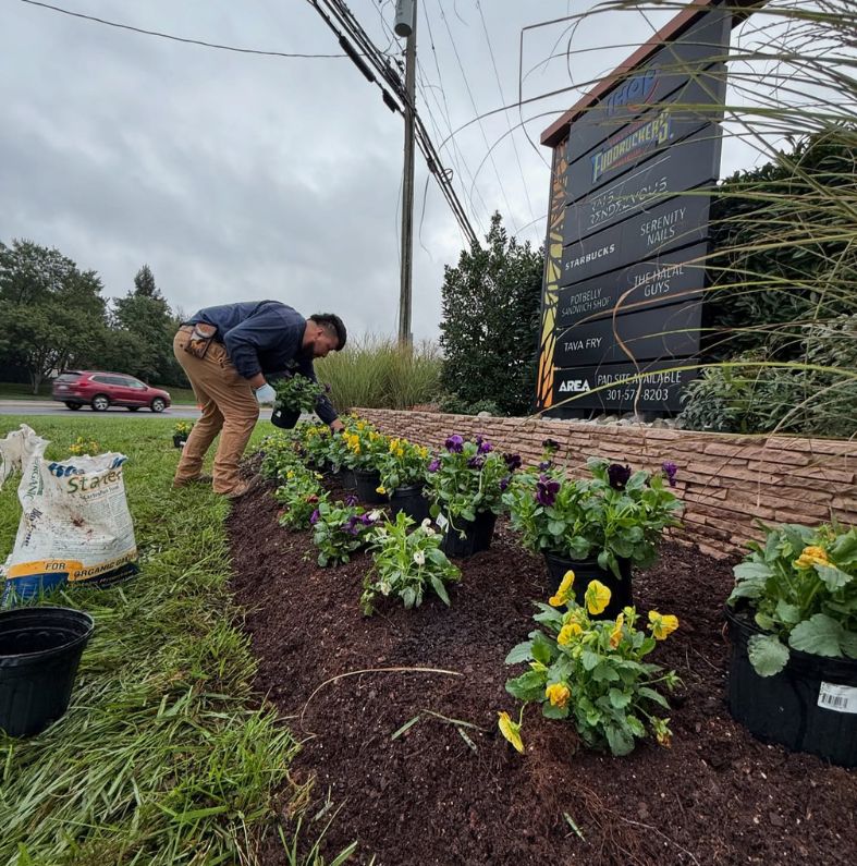 Commercial landscape installation