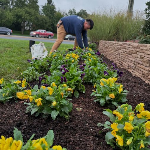 landscaping installation for commercial_