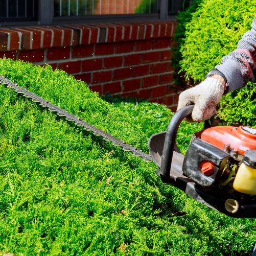 Commercial grounds maintenance landscaping