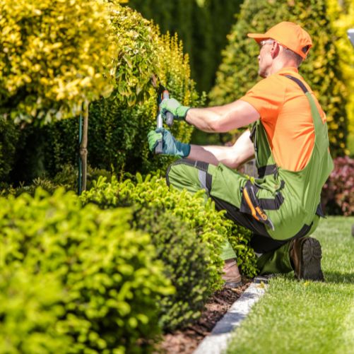 Commercial lawn maintenance landscaping