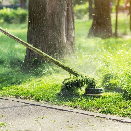 commercial lawn care services