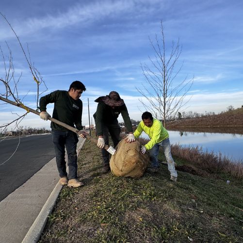 commercial tree services in Loudoun County virginia