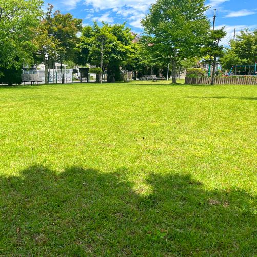 grounds maintenance landscaping