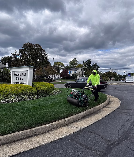 Professional core aeration service
