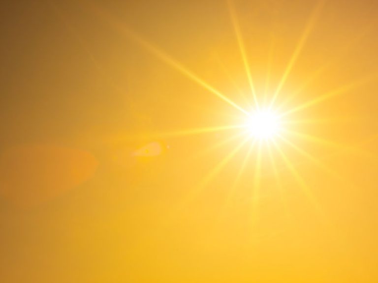 Preparing Your Lawn for Summer Heat