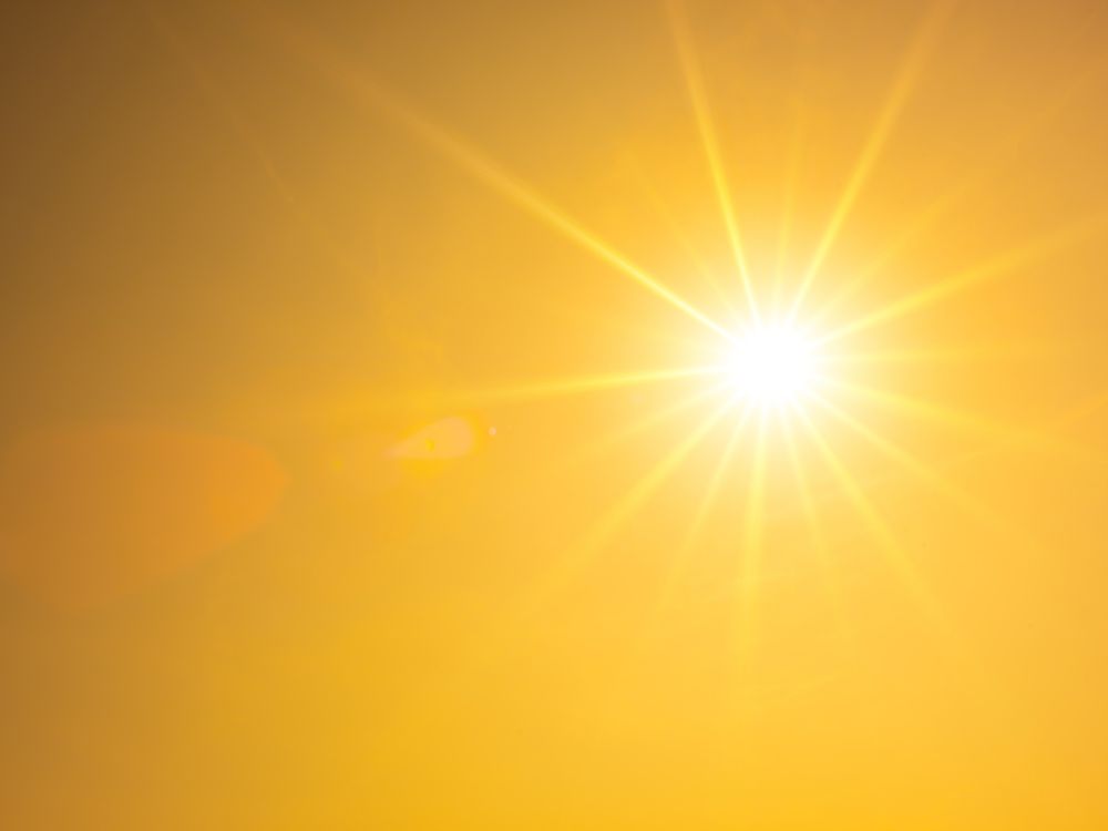 Preparing Your Lawn for Summer Heat