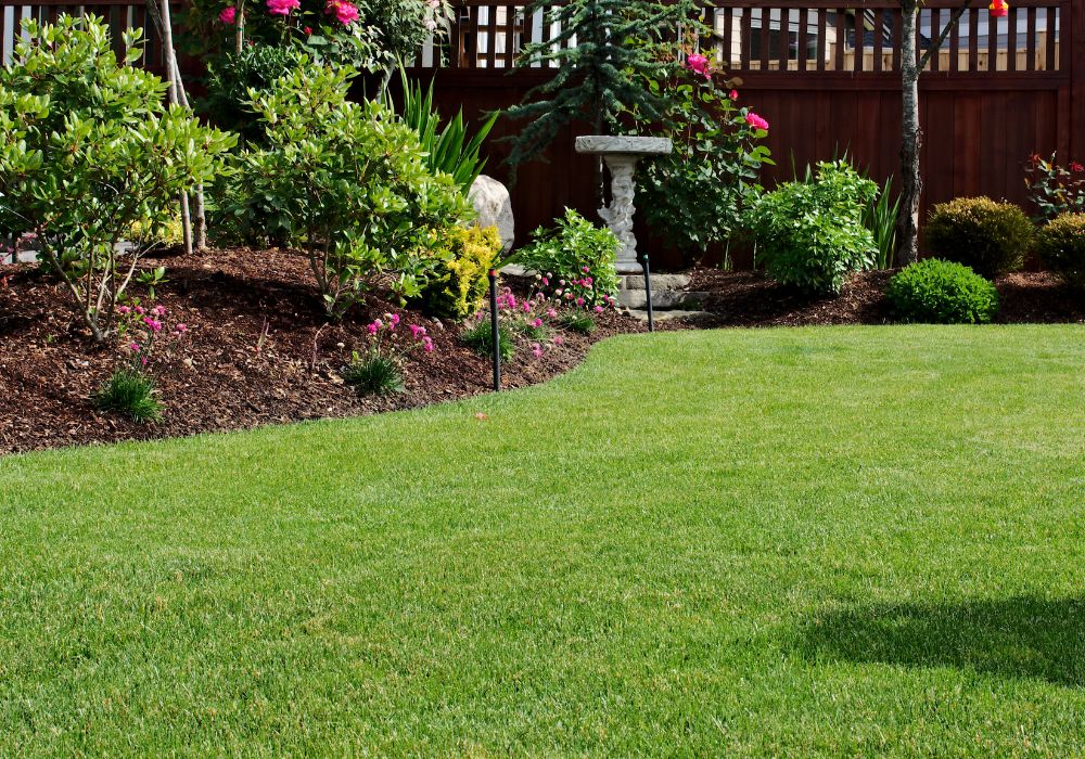 Signs It’s Time to Hire a Lawn Maintenance Company