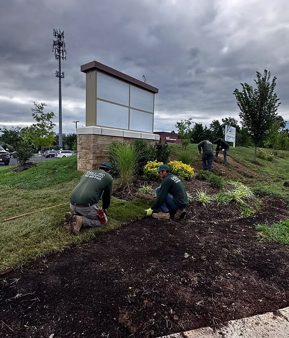 Sod installation services