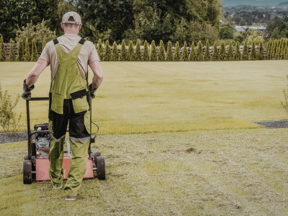 Why Lawn Aeration Improves Grass Health