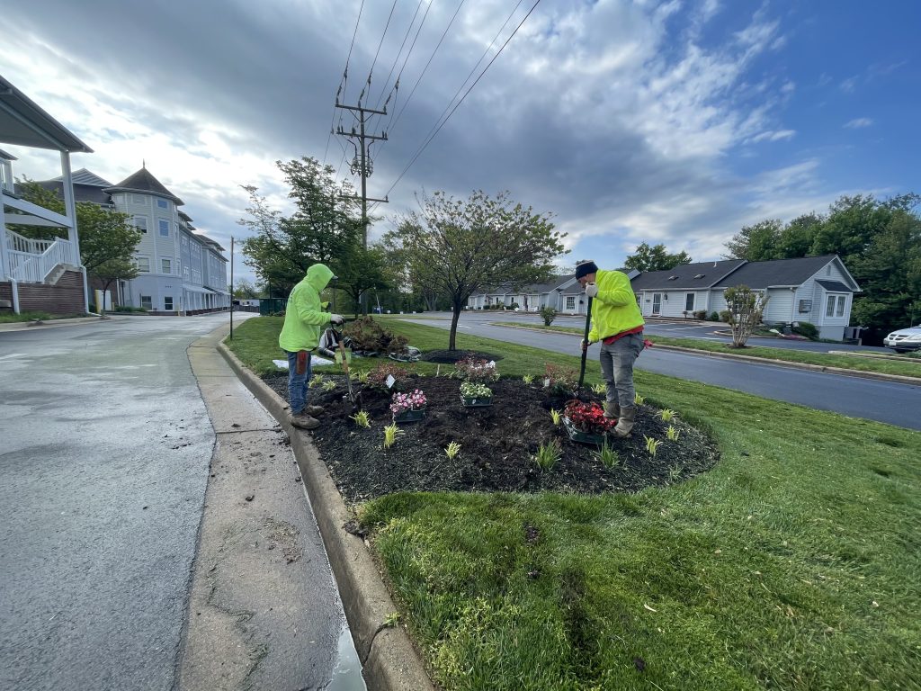 landscape designers near me
