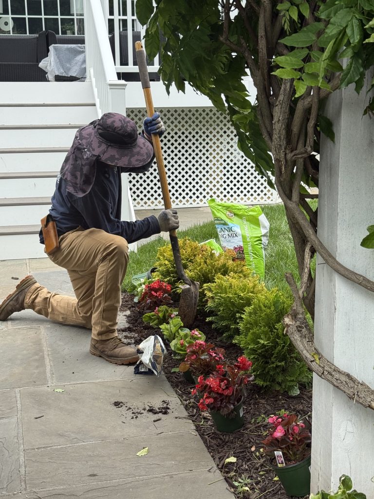 landscaping services