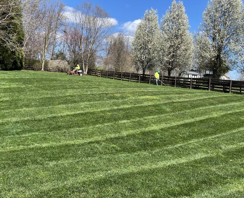Lawn Mowing Service in Northern Virginia