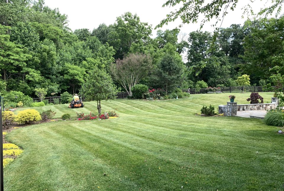Lawn mowing service near me