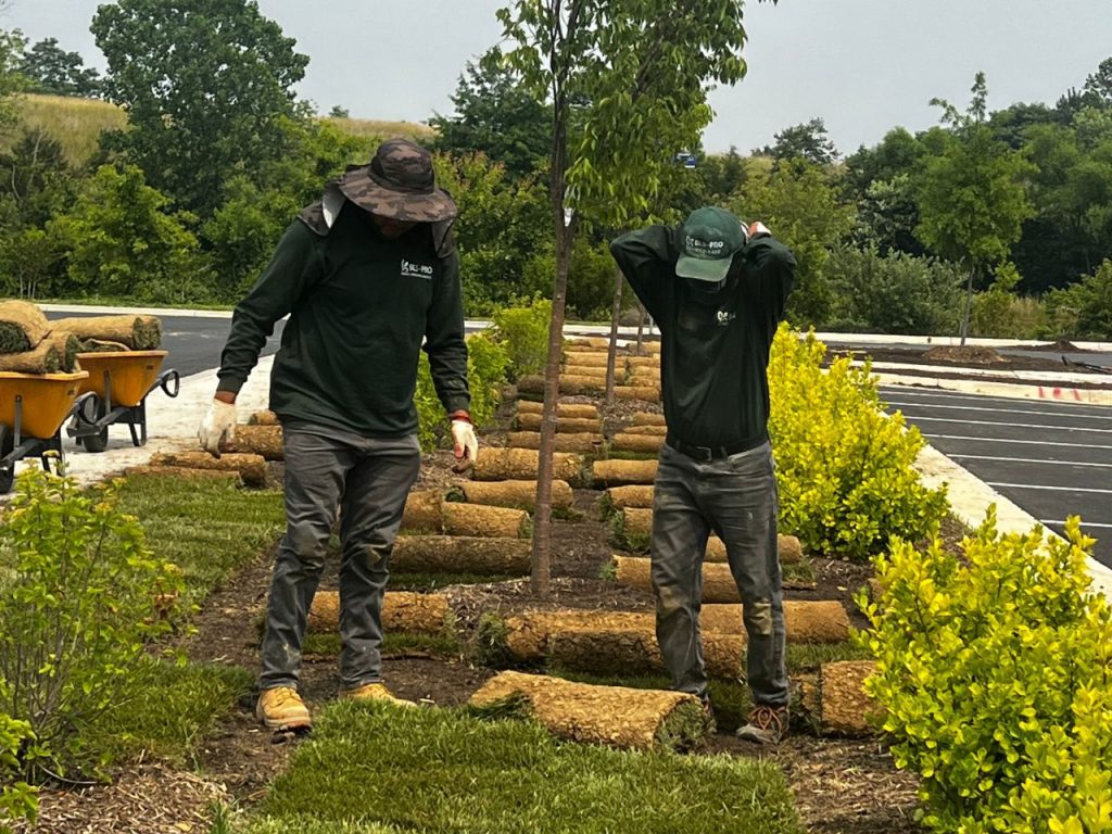 BLS Pro Landscaping Northern Virginia