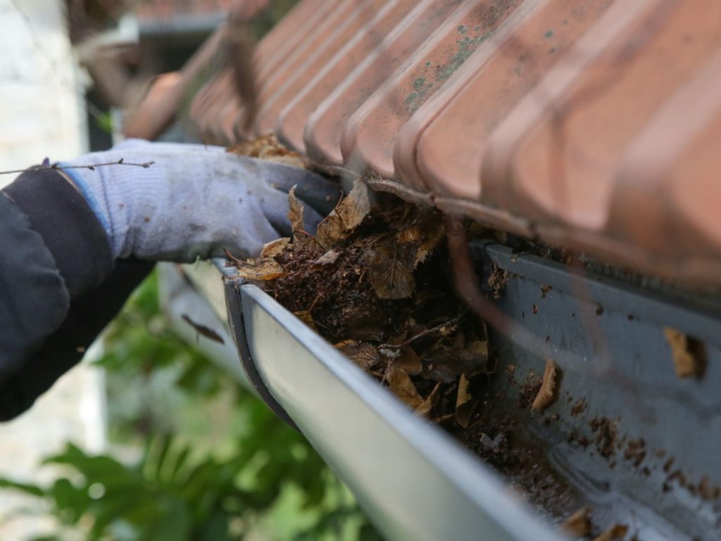 Gutter Cleaning