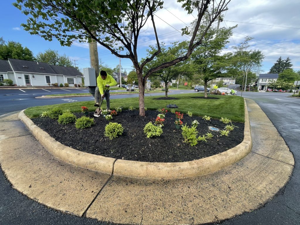 bls pro landscaping services
