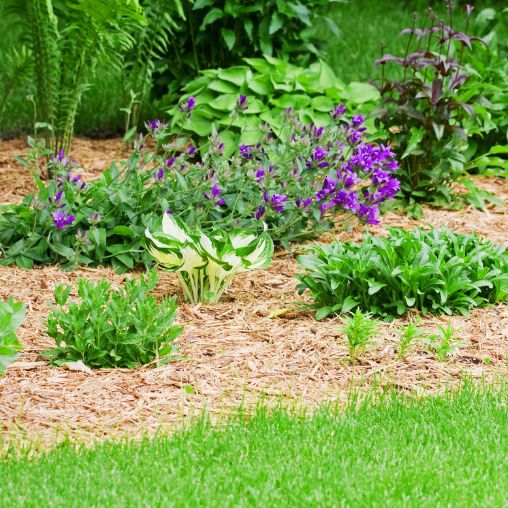 garden installer