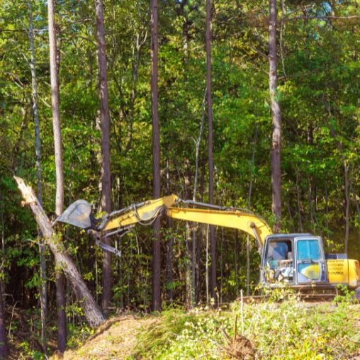 ladn clearing service
