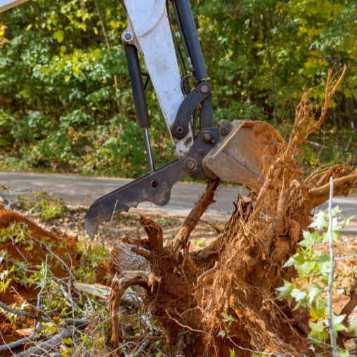 land clearing service