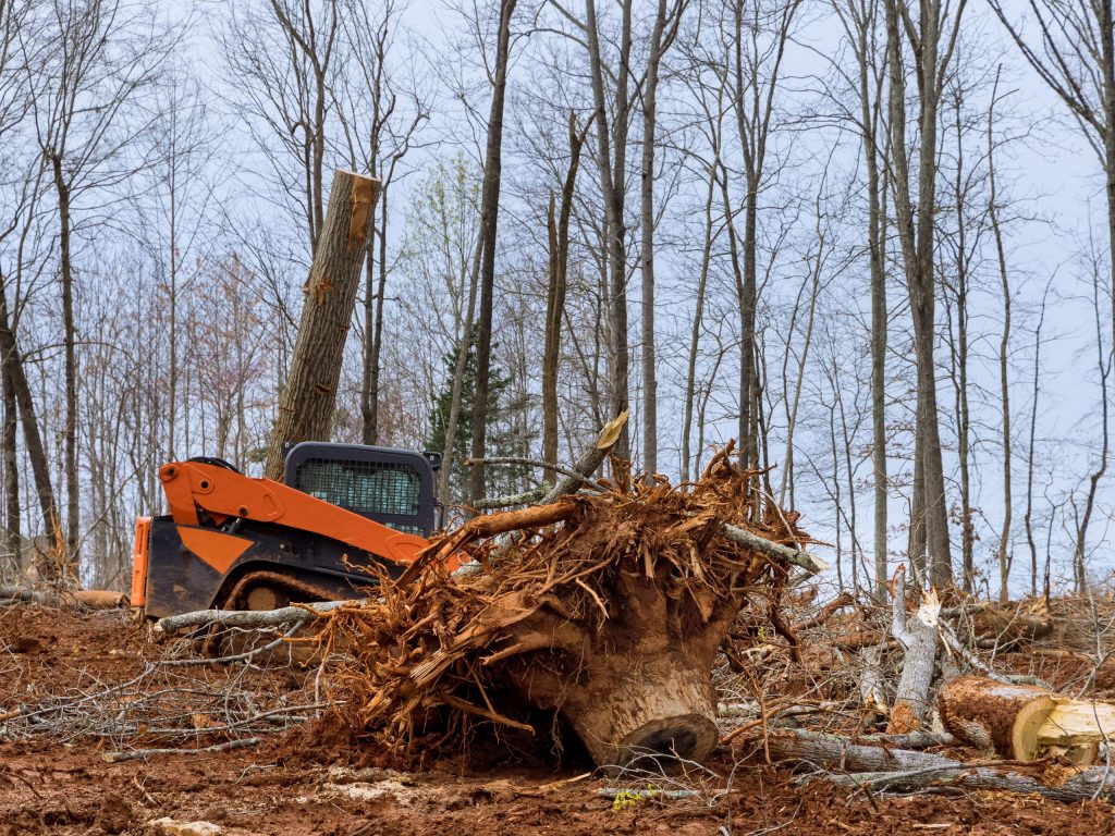 land clearing services by bls pro landscaping services