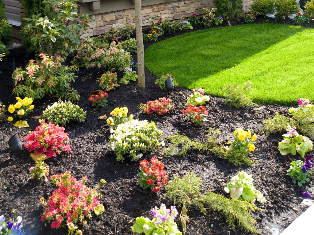 new garden installation