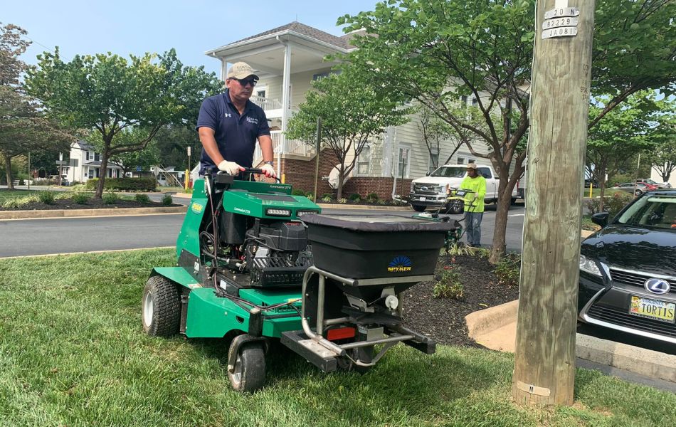 overseeding services in northern virginia