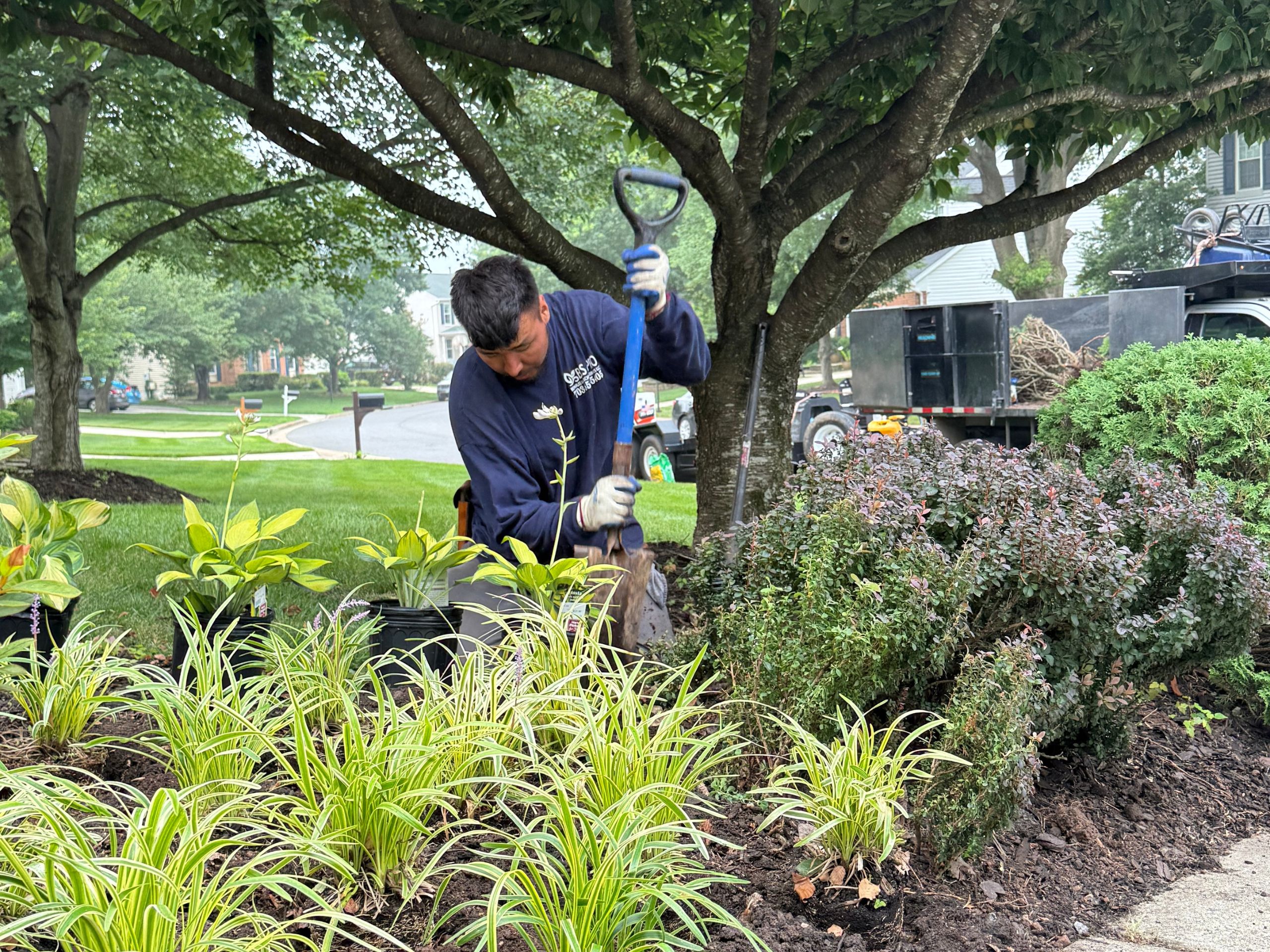 Seasonal flower installation in Northern Virginia