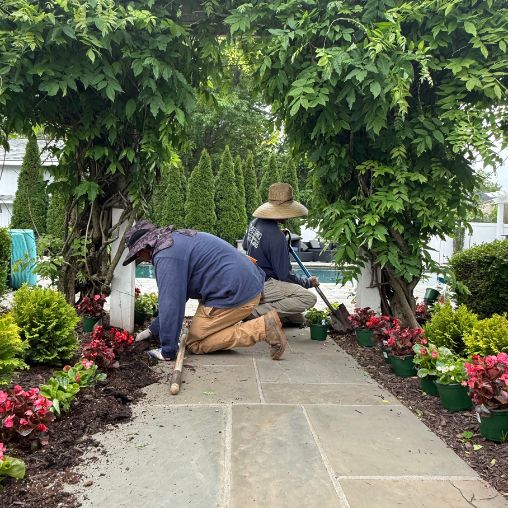 seasonal flower installation