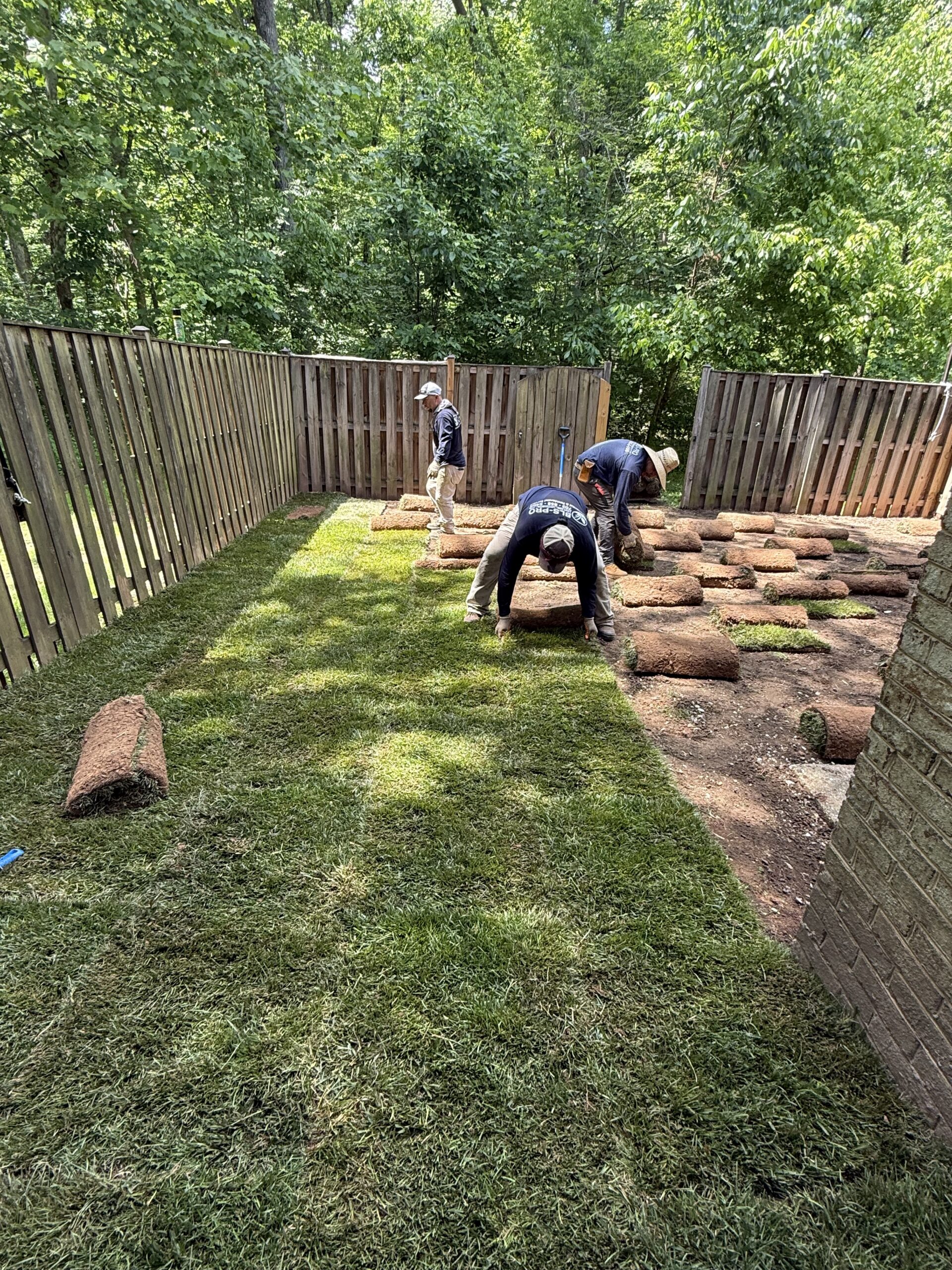 Lawn renovation services